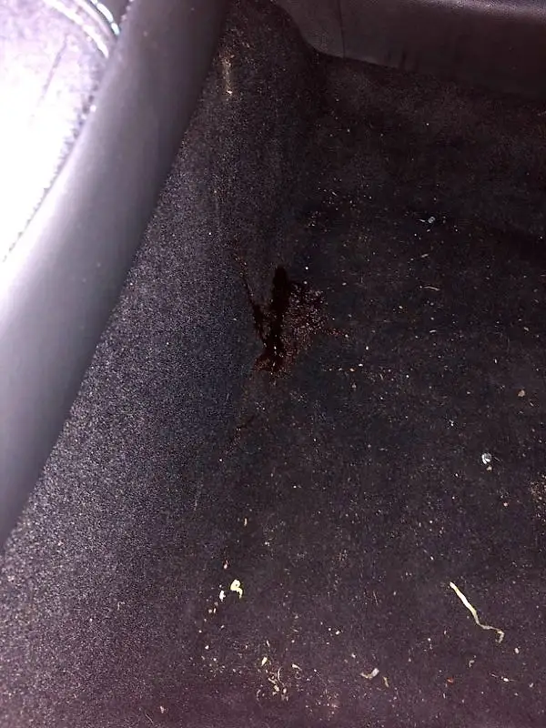 Damaged vehicle interior